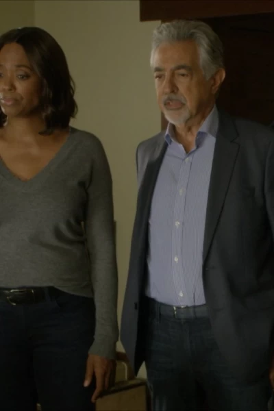 Mentes criminales. T(T14). Mentes criminales (T14): Ep.11 Luces de noche