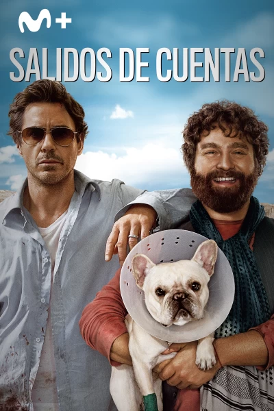 Salidos de cuentas