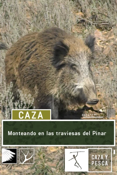 Monteando en las traviesas del Pinar