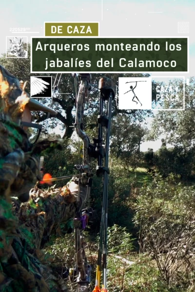 Arqueros monteando los jabalíes de Calamoco