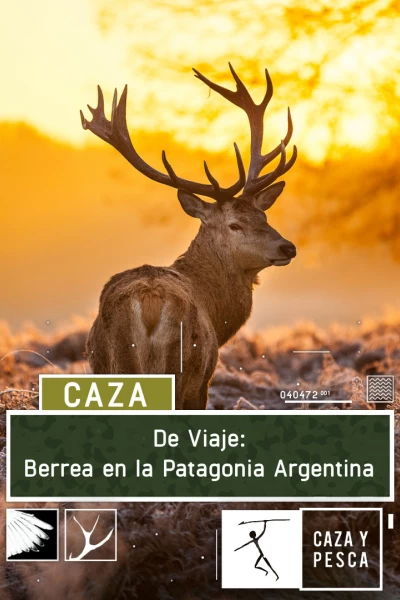 De viaje: berrea en la Patagonia argentina