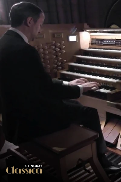 In the Organ's Stomach