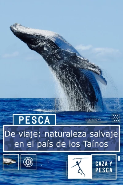 De viaje: naturaleza salvaje en el país de los Taínos