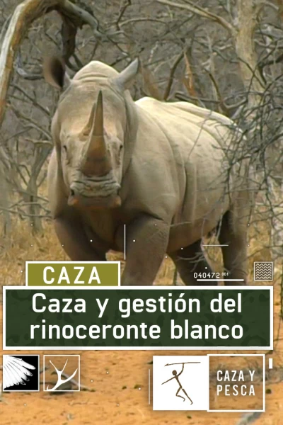 Caza y gestión del rinoceronte blanco
