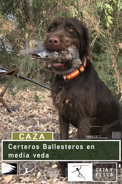 Certeros Ballesteros en la media veda