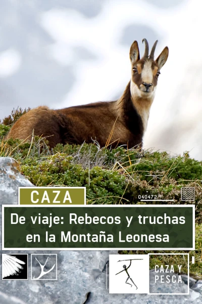 De viaje: rebecos y truchas en la montaña leonesa