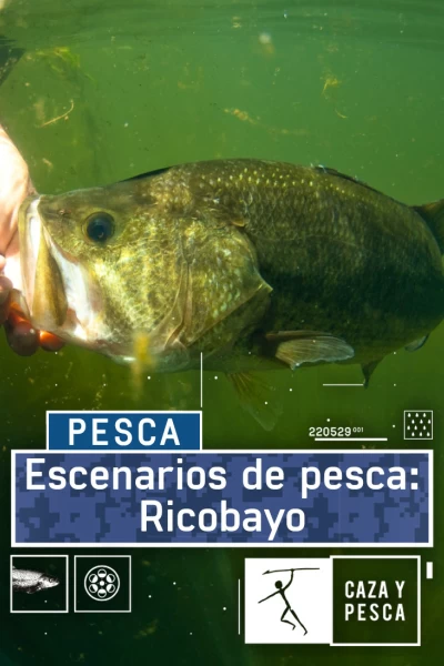 Escenarios de pesca: Ricobayo