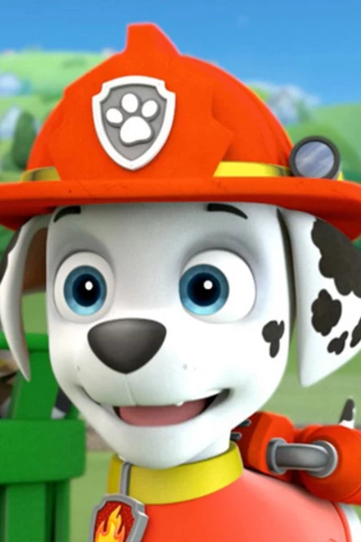La patrulla canina. T(T1). La patrulla canina (T1): La Patrulla y los Gansos; La Carrera de Globos