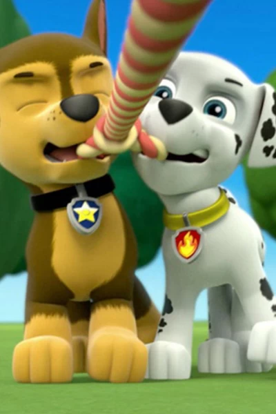 La patrulla canina. T(T1). La patrulla canina (T1): La Patrulla Salva a un Murciélago; La Patrulla y el Dentista
