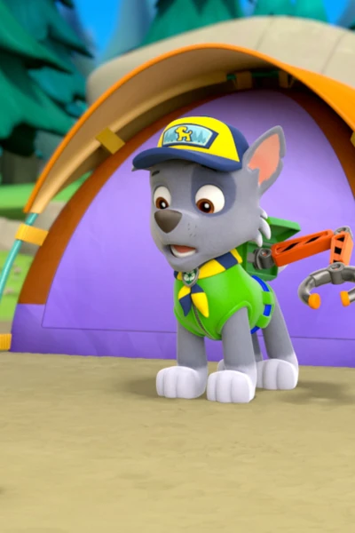 La patrulla canina. T(T1). La patrulla canina (T1): La Patrulla Salva un día de Camping; La Patrulla y las Tortugas