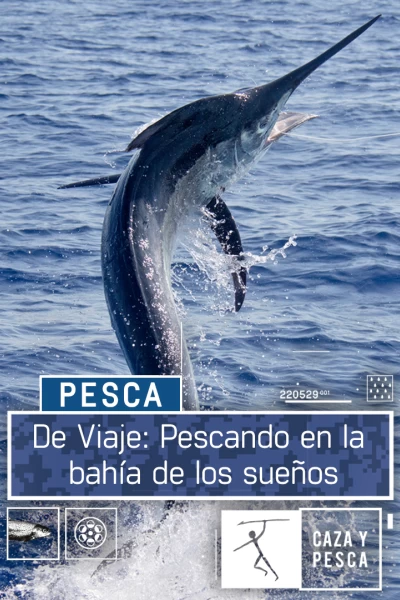 De viaje: pescando en la bahía de los sueños
