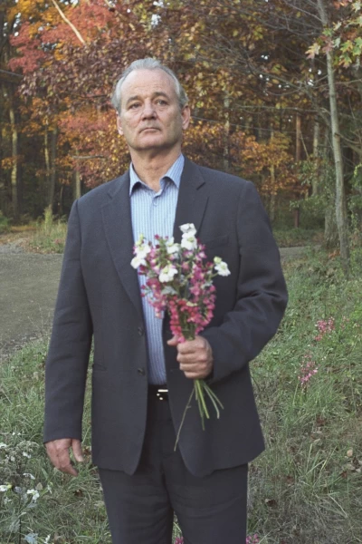 Flores rotas