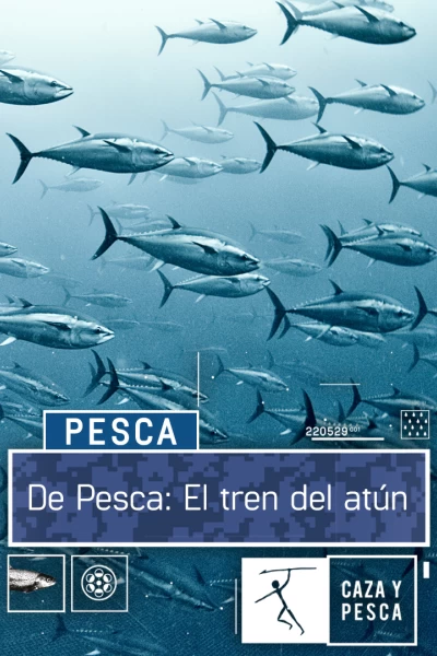 De pesca: el tren del atún