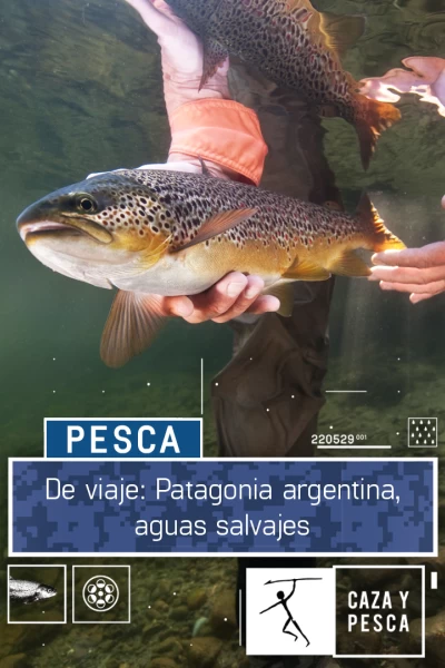De Viaje: Patagonia argentina, aguas salvajes