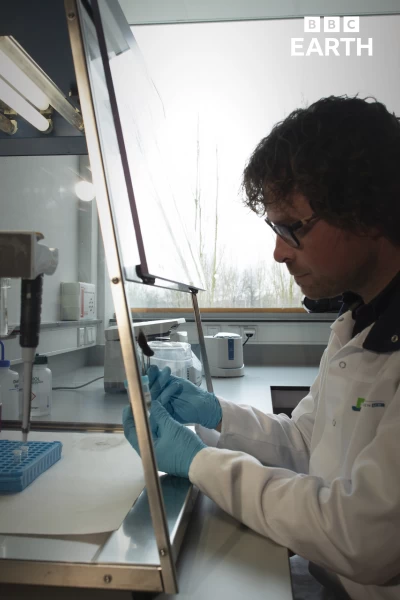 La hora de la naturaleza. La hora de la naturaleza: Entendimiento