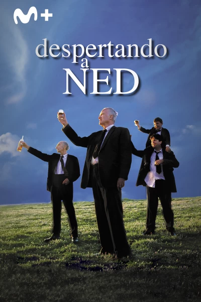 Despertando a Ned