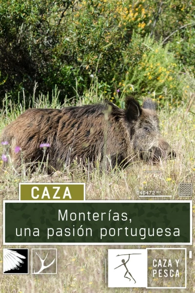 Montería, una pasión portuguesa