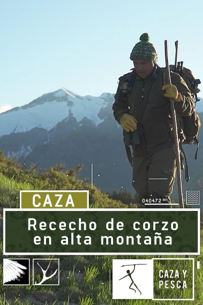 Rececho de corzo en alta montaña