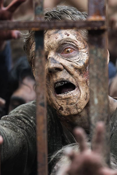 The Walking Dead. T(T6). The Walking Dead (T6)