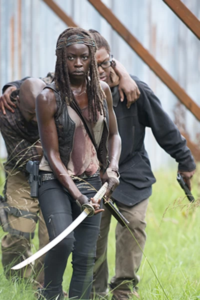The Walking Dead. T(T6). The Walking Dead (T6)