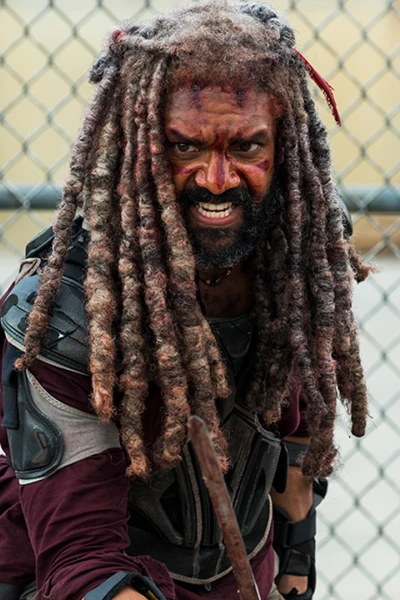 The Walking Dead. T(T8). The Walking Dead (T8)