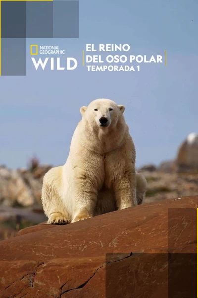 El reino del oso polar