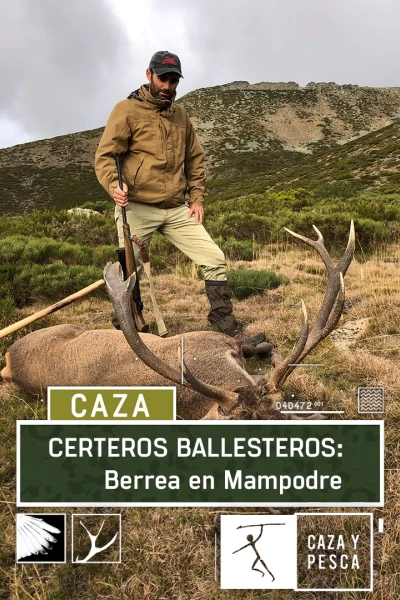 Certeros Ballesteros: Berrea en Mampodre