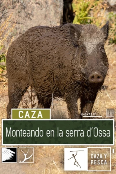 Monteando en la Serra d'Ossa