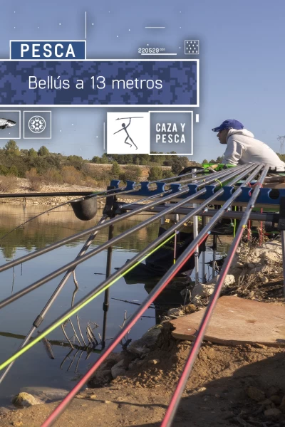 Bellús a trece metros