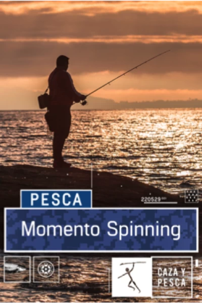 Momento Spinning