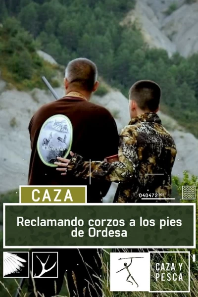 Reclamando corzos a los pies de Ordesa