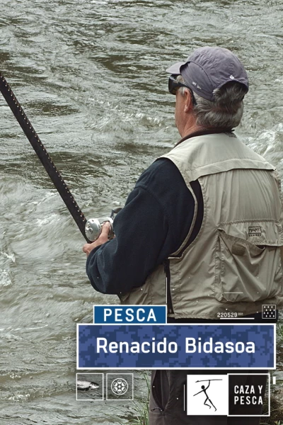 Renacido Bidasoa