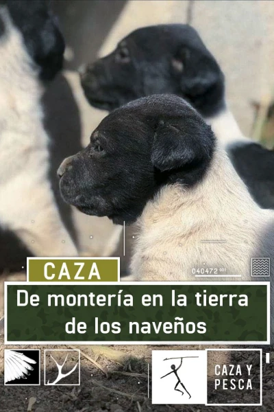 De Montería en la tierra de Los Naveños