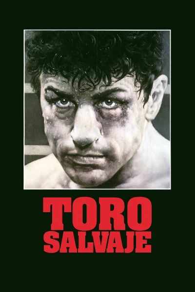 Toro salvaje