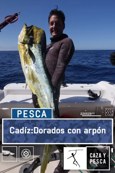 Cádiz, dorados con arpón