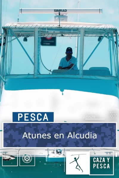 Atunes en Alcudia