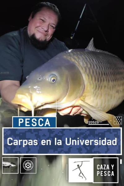 Carpas en la Universidad