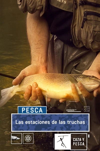 Las estaciones de las truchas