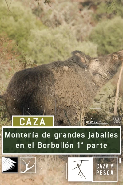 Montería de grandes jabalies en El Borbollón. 1ª parte