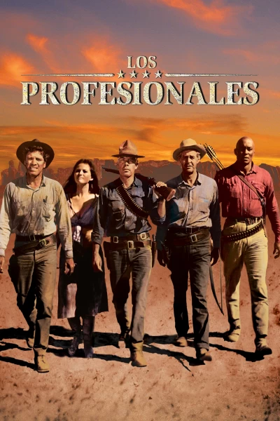 Los profesionales