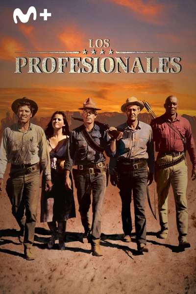 Los profesionales