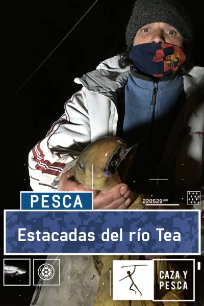 Estacadas del río Tea