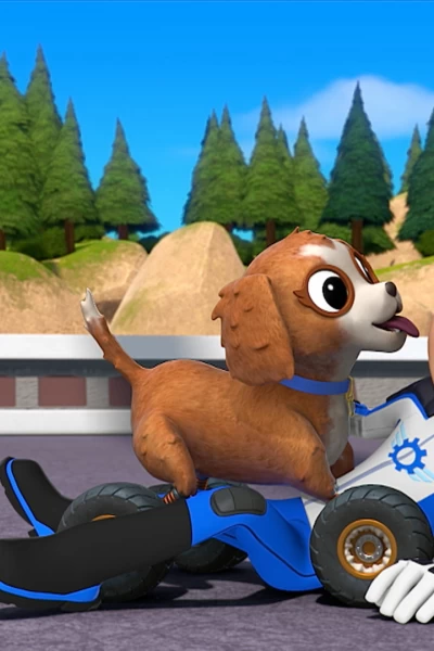 Blaze y los Monster Machines. T(T6). Blaze y los... (T6): En busca de la mascota