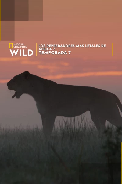 Los depredadores más letales de África