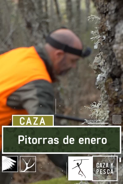 Pitorras de enero