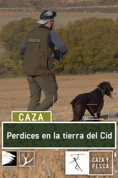 Perdices en la tierra del Cid