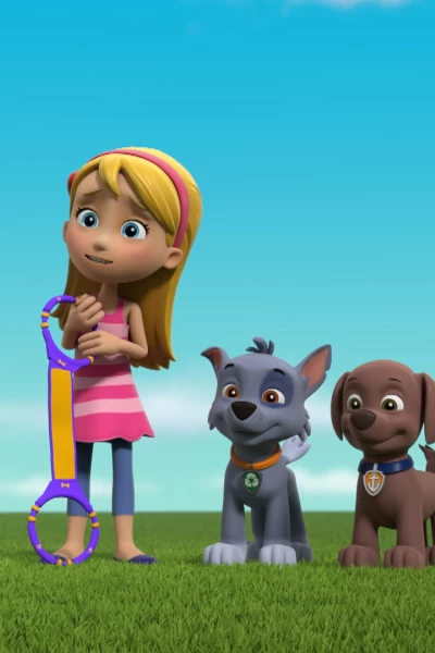 La patrulla canina. T(T8). La patrulla canina (T8): La patrulla y Katie detienen a la banda de gatitos que ladran; La patrulla salva unas gafas