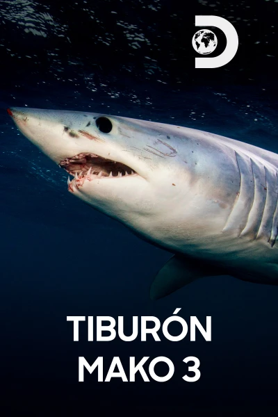 Tiburón Mako: depredador perfecto