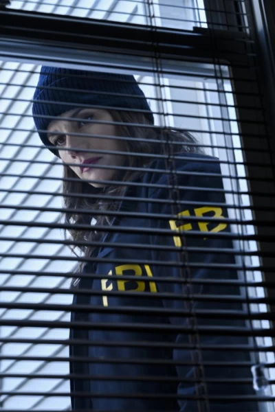 FBI: Internacional. T(T1). FBI: Internacional (T1): Ep.21 Alicaído