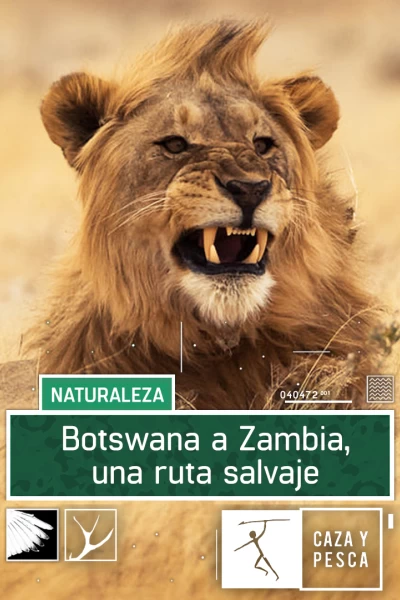 Botswana a Zambia una ruta salvaje